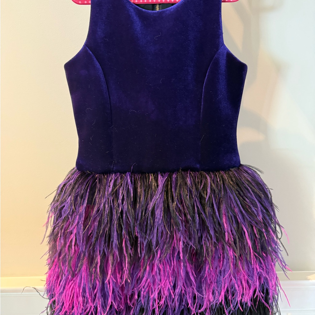 Zoe Ltd Quin Dress - Purple Velevet Bodice